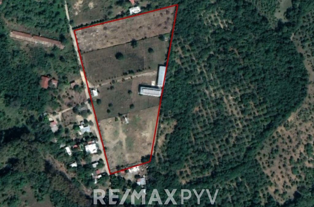 Terreno Campestre en Venta en Allende, Carretera Nacional, Los Tamez. – 7667