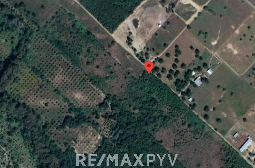 Terreno en Venta en Allende, Carretera Nacional, Paso hondo. – 7673