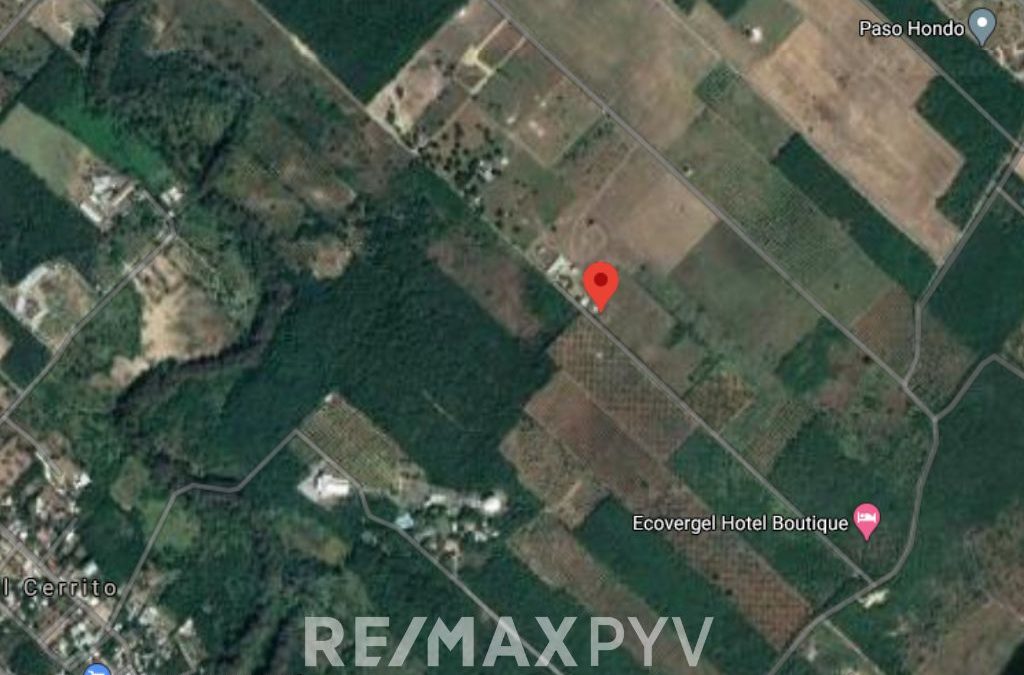 Terreno en Venta en Allende, Carretera Nacional, Paso hondo. – 7674